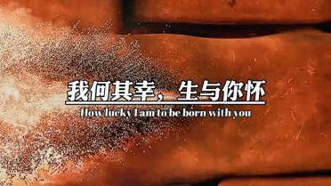 逗小猴开心系列213